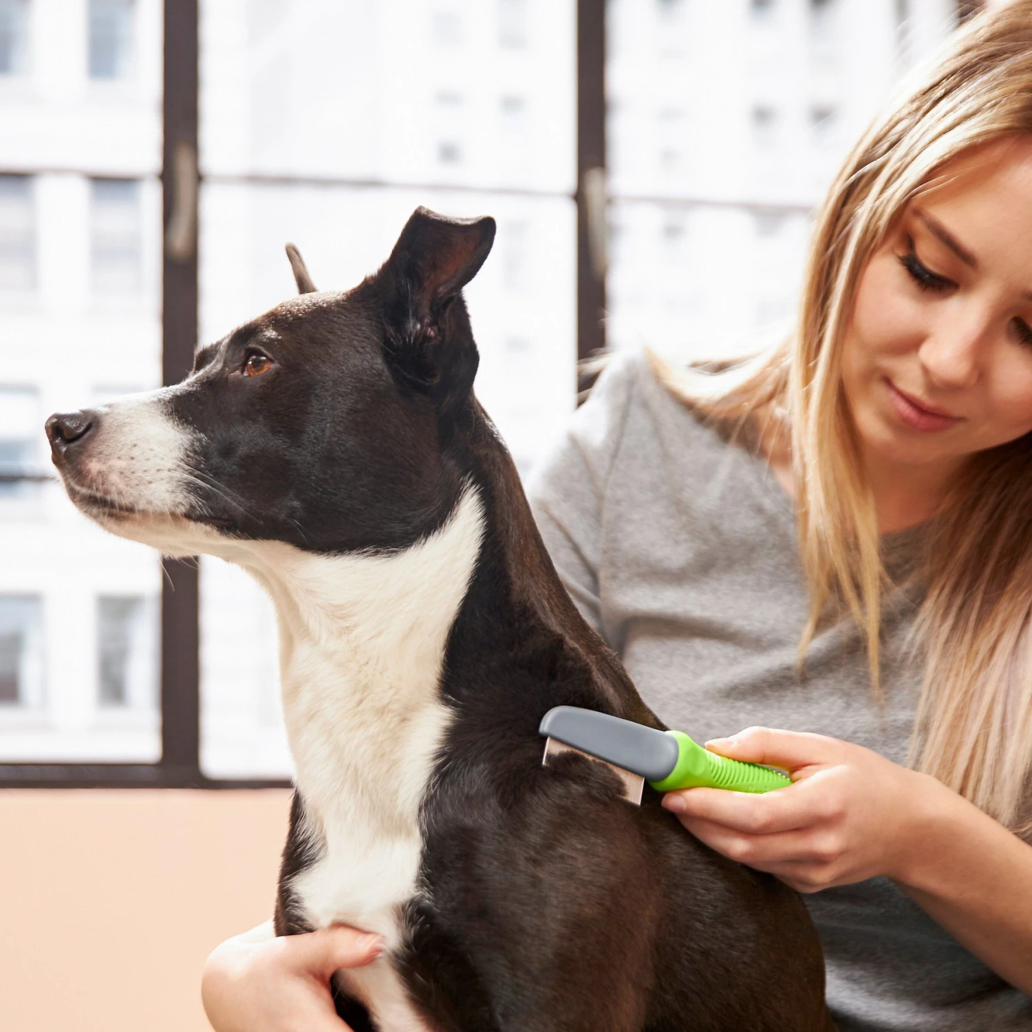 Frisco Single-Row Flea Comb For Cats & Dogs 3 Frisco Single-Row Flea Comb For Cats & Dogs - Image 3