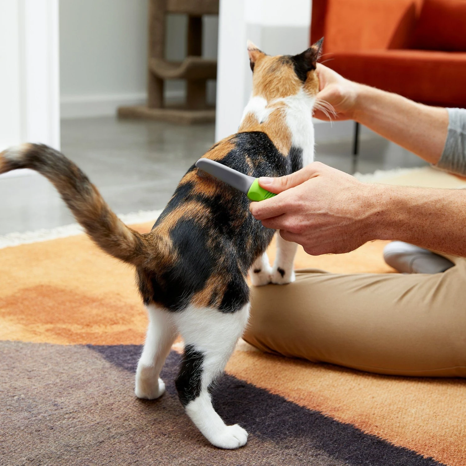 Frisco Single-Row Flea Comb For Cats & Dogs 4 Frisco Single-Row Flea Comb For Cats & Dogs - Image 4