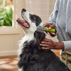 Frisco Double-Row Flea Comb For Cats & Dogs 7 Frisco Double-Row Flea Comb For Cats & Dogs -Frisco Sales Store 206886 PT3. AC SS1800 V1680186388