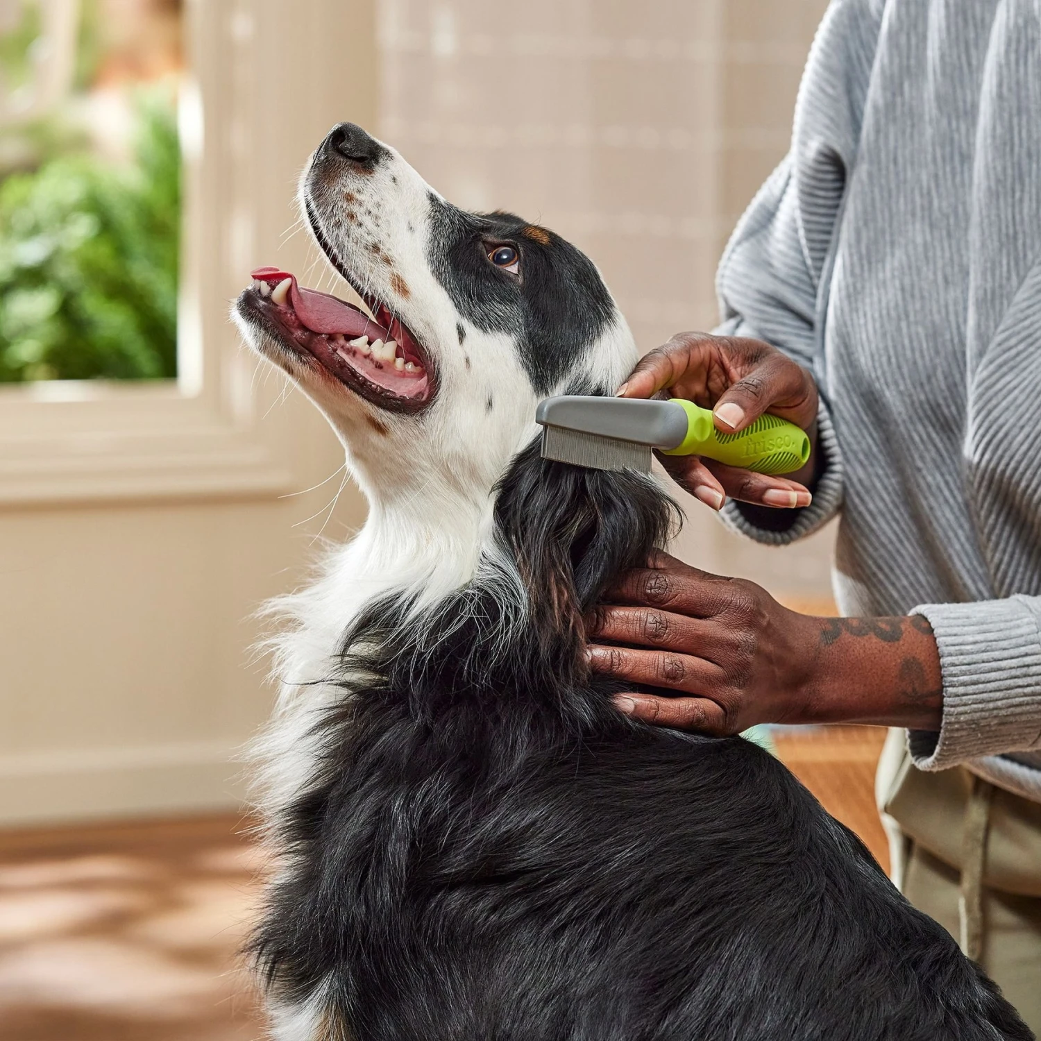 Frisco Double-Row Flea Comb For Cats & Dogs 3 Frisco Double-Row Flea Comb For Cats & Dogs - Image 3