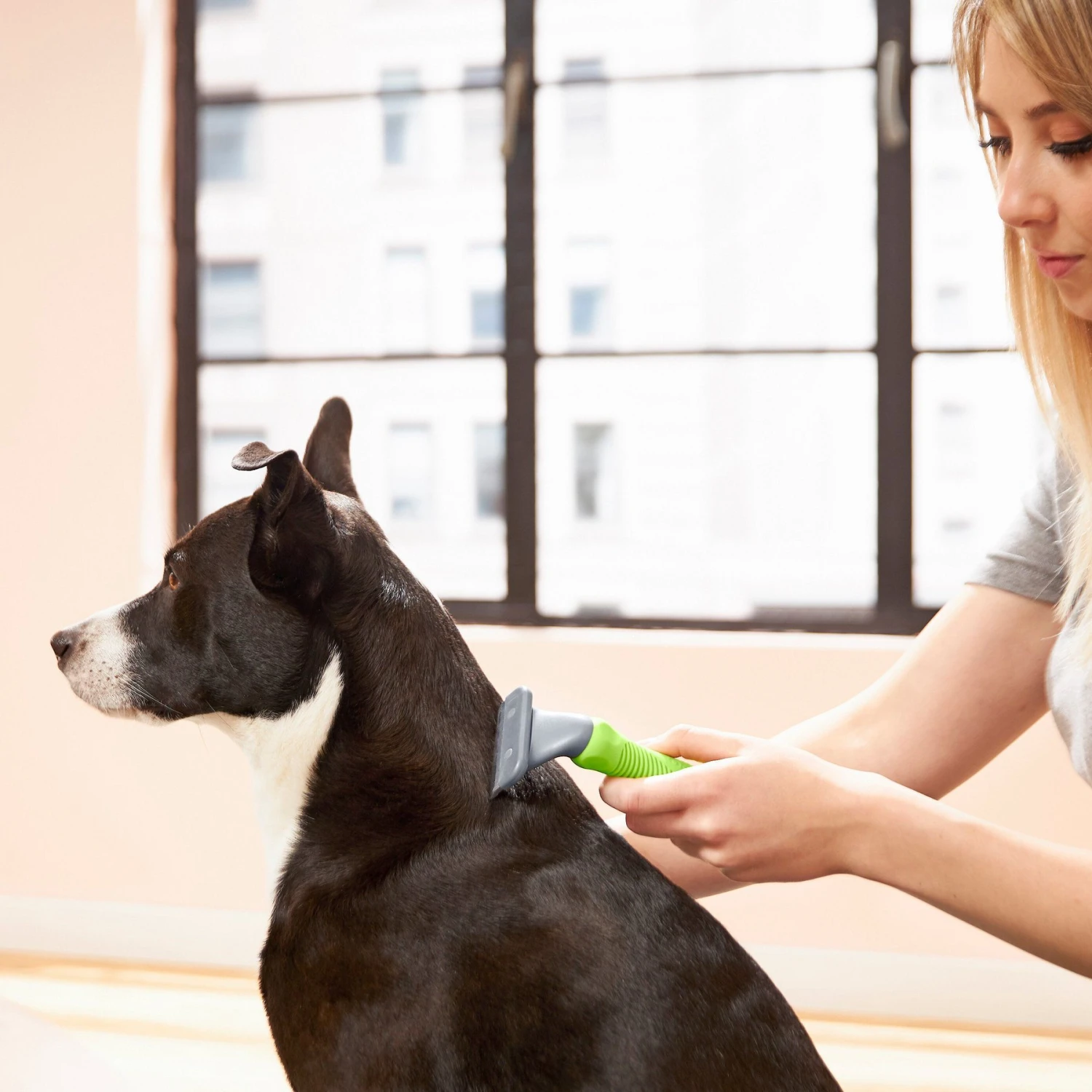 Frisco Deshedding Dog & Cat Brush 4 Frisco Deshedding Dog & Cat Brush - Image 4