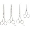 Frisco Shears Kit For Cats And Dogs
