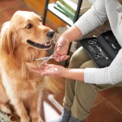 Frisco Shears Kit For Cats And Dogs -Frisco Sales Store 206903 PT4. AC SS1800 V1604009923