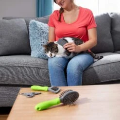 Frisco Beginner Grooming Kit For Dogs And Cats -Frisco Sales Store 206909 PT6. AC SS1800 V1680186162