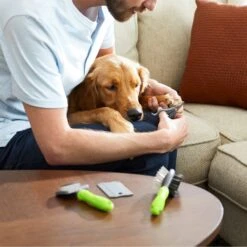 Frisco Beginner Grooming Kit For Dogs And Cats -Frisco Sales Store 206909 PT7. AC SS1800 V1680186156