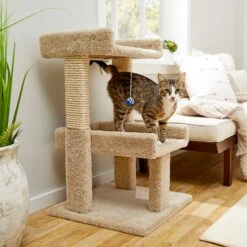 Frisco Sales Store 12 Frisco 32-in Real Carpet Wooden Cat Tree With Toy