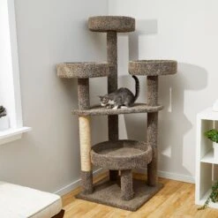 Frisco Sales Store 14 Frisco 65-in Real Carpet Scratch And Lounge Cat Tree
