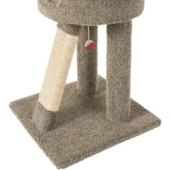 Frisco 24-in Real Carpet Cat Scratching Perch With Toy -Frisco Sales Store 208960 PT4. AC SS1800 V1589221657