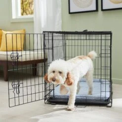 Frisco Fold & Carry Single Door Collapsible Wire Dog Crate & Mat Kit