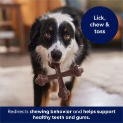 Frisco Bacon Flavor Tough Nylon Dog Chew Toy 10 Frisco Bacon Flavor Tough Nylon Dog Chew Toy -Frisco Sales Store 213430 PT5. AC SS1800 V1691783968