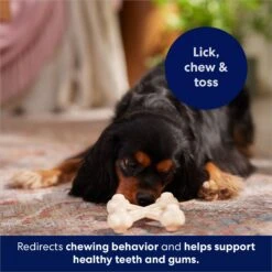 Frisco Chicken Flavor Tough Nylon Dog Chew Toy -Frisco Sales Store 213432 PT5. AC SS1800 V1691784031