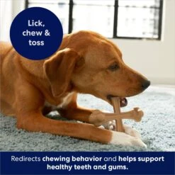 Frisco Peanut Butter Flavor Tough Nylon Dog Chew Toy -Frisco Sales Store 213436 PT5. AC SS1800 V1692019972