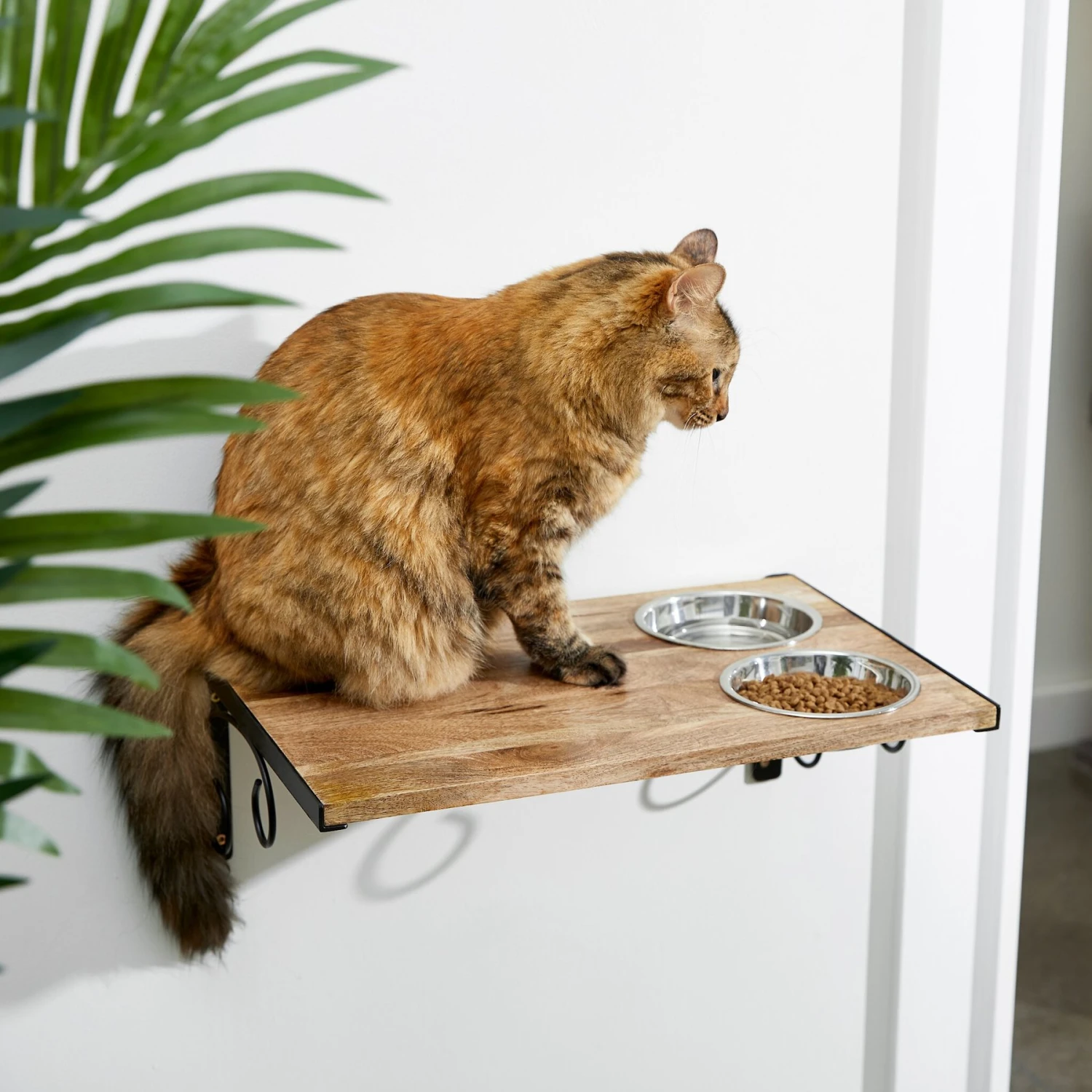 Frisco Wooden Wall Mounted Stainless Steel Cat Feeding Station With Bowl 1 Frisco Wooden Wall Mounted Stainless Steel Cat Feeding Station With Bowl