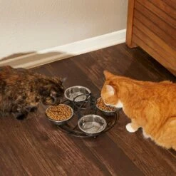 Frisco Multi Pet Feeding 4-Bowls Stainless Steel Dog & Cat Bowls, 0.5 Cup -Frisco Sales Store 213787 PT6. AC SS1800 V1599091021