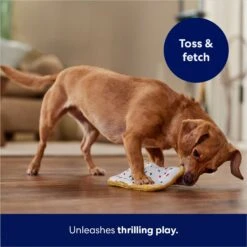 Frisco Frosted Pastry Stuffing-Free Flat Plush Squeaky Dog Toy 10 Frisco Frosted Pastry Stuffing-Free Flat Plush Squeaky Dog Toy -Frisco Sales Store 213812 PT5. AC SS1800 V1686579088