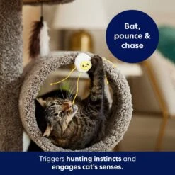 Frisco Plush Dangly Egg Buddy Cat Toy With Catnip 8 Frisco Plush Dangly Egg Buddy Cat Toy With Catnip -Frisco Sales Store 213844 PT5. AC SS1800 V1691784029