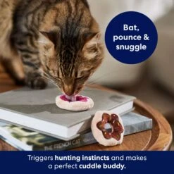 Frisco Donut Plush Cat Toy With Catnip -Frisco Sales Store 213850 PT5. AC SS1800 V1692931851