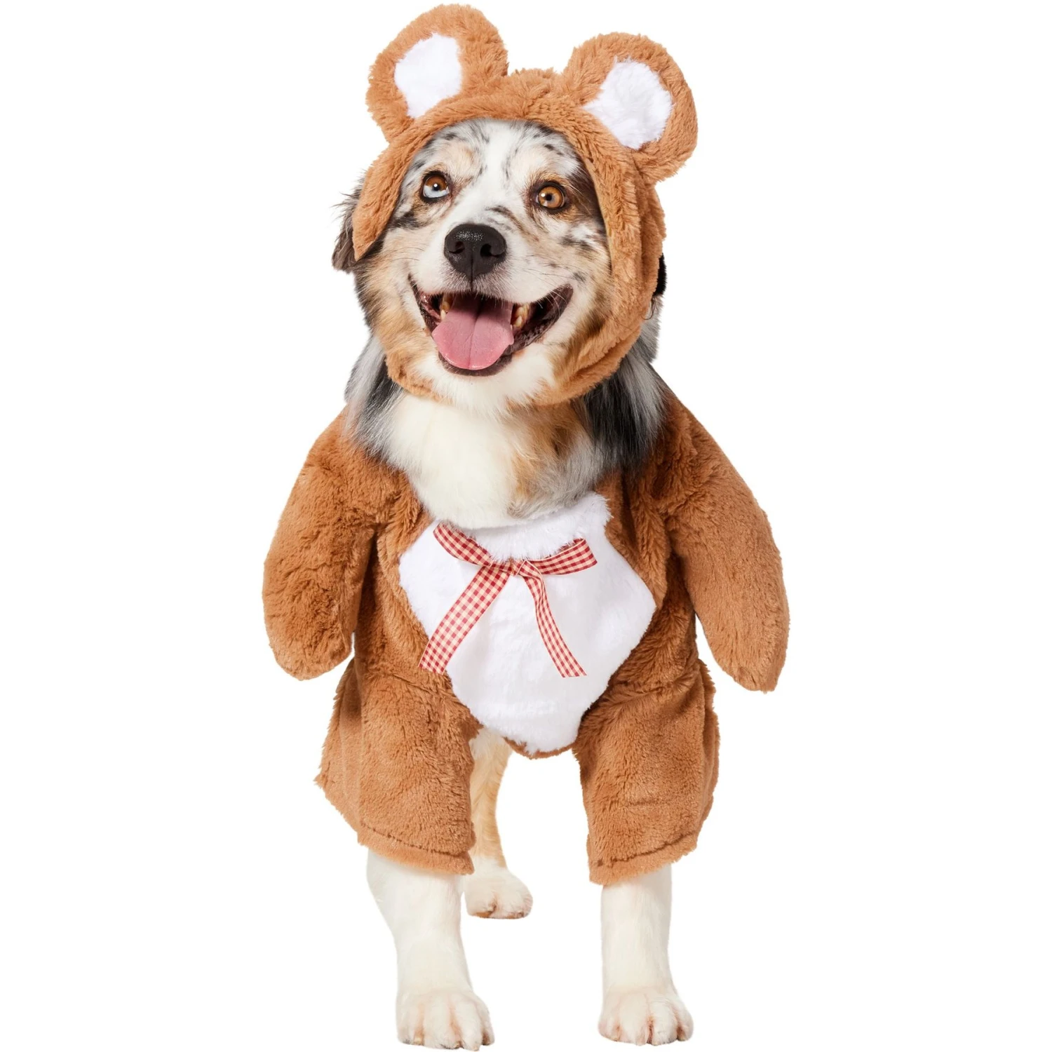 Frisco Front Walking Teddy Bear Dog & Cat Costume 1 Frisco Front Walking Teddy Bear Dog & Cat Costume
