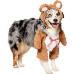 Frisco Front Walking Teddy Bear Dog & Cat Costume 11 Frisco Front Walking Teddy Bear Dog & Cat Costume -Frisco Sales Store 215507 PT3. AC SS1800 V1624402415