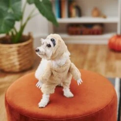 Frisco Front Walking Sloth Dog & Cat Costume -Frisco Sales Store 215539 PT8. AC SS1800 V1599141353