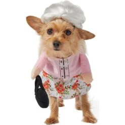 Frisco Front Walking Granny Dog & Cat Costume -Frisco Sales Store 215577 PT4. AC SS1800 V1625077372
