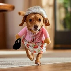 Frisco Front Walking Granny Dog & Cat Costume -Frisco Sales Store 215577 PT8. AC SS1800 V1689621333