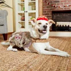 Frisco Zombie Dog & Cat Costume -Frisco Sales Store 215624 PT8. AC SS1800 V1599226580