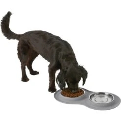 Frisco Double Stainless Steel Pet Bowl With Silicone Mat 13 Frisco Double Stainless Steel Pet Bowl With Silicone Mat -Frisco Sales Store 215986 PT5. AC SS1800 V1605652436