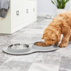 Frisco Double Stainless Steel Pet Bowl With Silicone Mat 15 Frisco Double Stainless Steel Pet Bowl With Silicone Mat -Frisco Sales Store 215986 PT7. AC SS1800 V1605660717