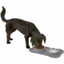 Frisco Silicone Stainless Steel Double Diner Dog & Cat Bowl -Frisco Sales Store 215990 PT5. AC SS1800 V1605662218