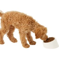 Frisco Slanted Stainless Steel Bowl -Frisco Sales Store 216028 PT6. AC SS1800 V1605666119