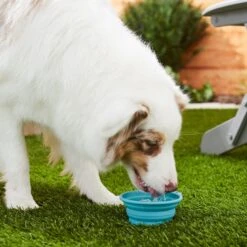 Frisco Silicone Collapsible Travel Bowl Set -Frisco Sales Store 216033 PT7. AC SS1800 V1605661035