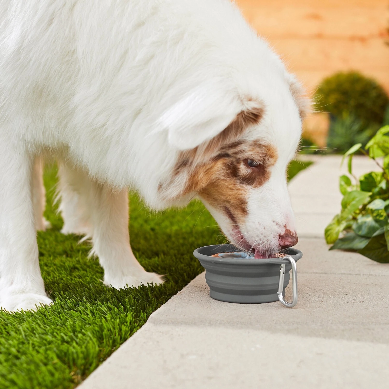 Frisco Silicone Collapsible Travel Bowl With Carabiner 5 Frisco Silicone Collapsible Travel Bowl With Carabiner - Image 5