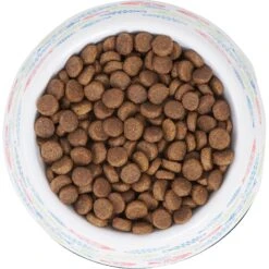 Frisco Colorful Fish Melamine Bowl 10 Frisco Colorful Fish Melamine Bowl -Frisco Sales Store 216047 PT4. AC SS1800 V1591020721