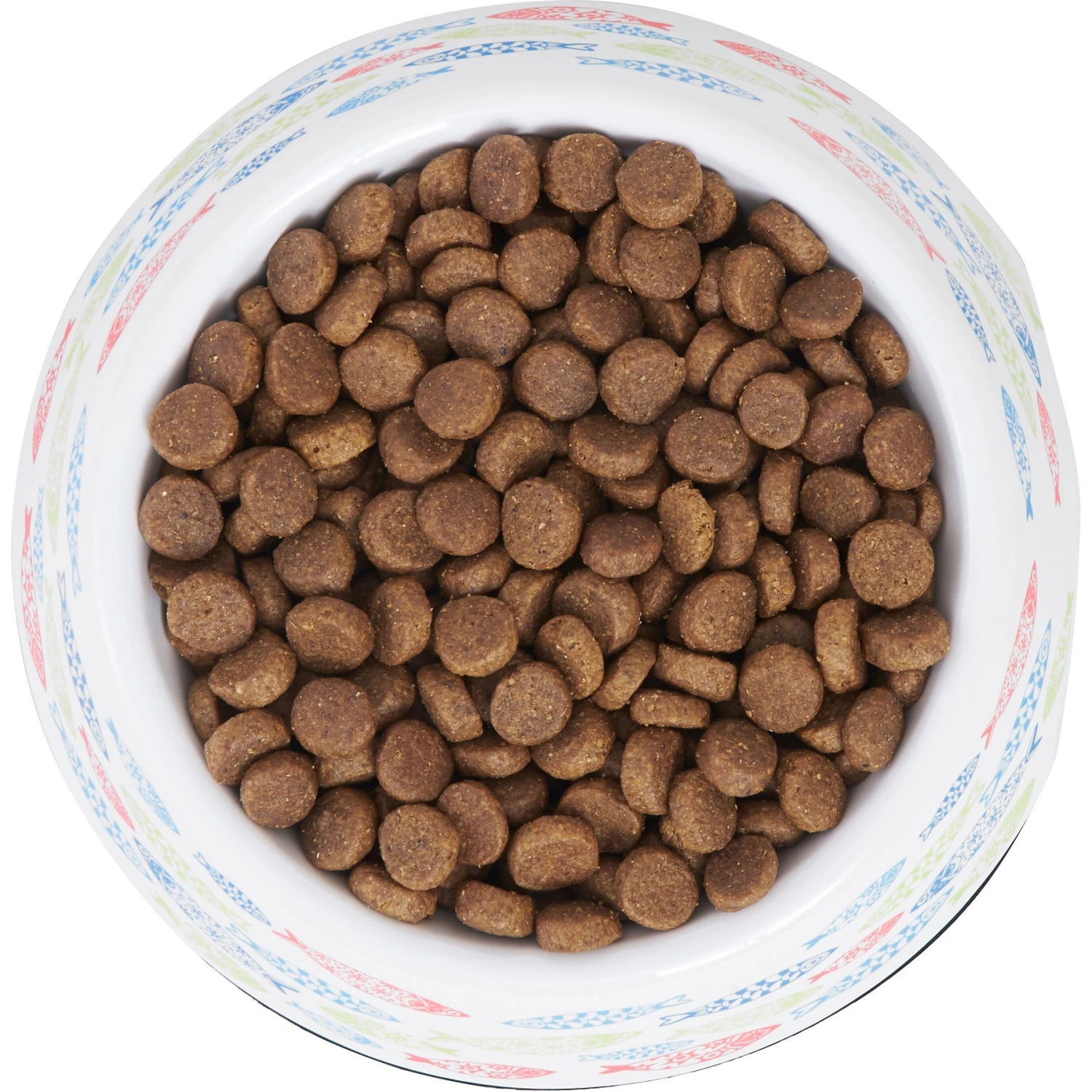 Frisco Colorful Fish Melamine Bowl 5 Frisco Colorful Fish Melamine Bowl - Image 5