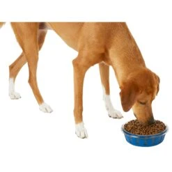 Frisco Chevron Design Glass Bowl With Silicone Sleeve -Frisco Sales Store 216049 PT6. AC SS1800 V1605654757