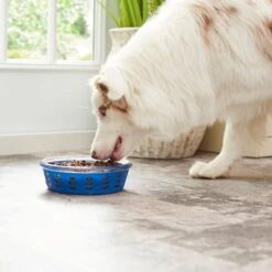 Frisco Chevron Design Glass Bowl With Silicone Sleeve -Frisco Sales Store 216049 PT7. AC SS1800 V1605664319