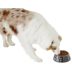 Frisco Doggie Melamine Bowl 12 Frisco Doggie Melamine Bowl -Frisco Sales Store 216062 PT6. AC SS1800 V1605663429