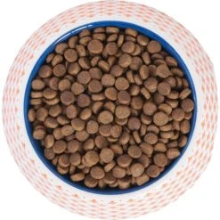 Frisco Southwest Melamine Bowl -Frisco Sales Store 216064 PT4. AC SS1800 V1591021009