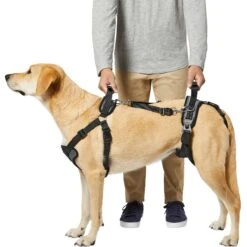Frisco Front & Rear Lift Handicapped Support Dog Harness -Frisco Sales Store 220372 PT5. AC SS1800 V1605749597
