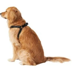Frisco Nylon Step In Back Clip Dog Harness -Frisco Sales Store 220519 PT3. AC SS1800 V1605593555