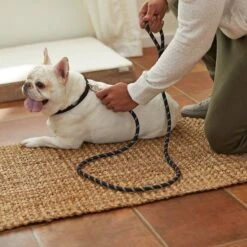 Frisco Reflective Rope Dog Leash -Frisco Sales Store 221214 PT4. AC SS1800 V1602862582