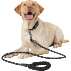 Frisco Rope Dog Leash With Padded Handle -Frisco Sales Store 221218 PT3. AC SS1800 V1701796765