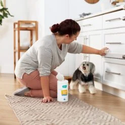 Frisco Vinegar Cleaning Wipes, 70 Count 9 Frisco Vinegar Cleaning Wipes, 70 Count -Frisco Sales Store 222151 PT4. AC SS1800 V1602847932