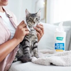 Frisco Hot Spot Relief Wipes -Frisco Sales Store 222163 PT2. AC SS1800 V1602831392