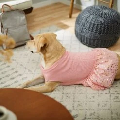 Frisco Cable Knit Dog & Cat Sweater Dress -Frisco Sales Store 223706 PT7. AC SS1800 V1599921696