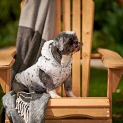 Frisco Mediumweight Silver Polka Dotted Insulated Dog & Cat Coat 13 Frisco Mediumweight Silver Polka Dotted Insulated Dog & Cat Coat -Frisco Sales Store 224017 PT7. AC SS1800 V1601579462