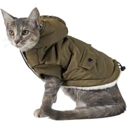 Frisco Mid-Heavyweight Love Insulated Dog & Cat Coat 8 Frisco Mid-Heavyweight Love Insulated Dog & Cat Coat -Frisco Sales Store 224034 PT2. AC SS1800 V1599498998