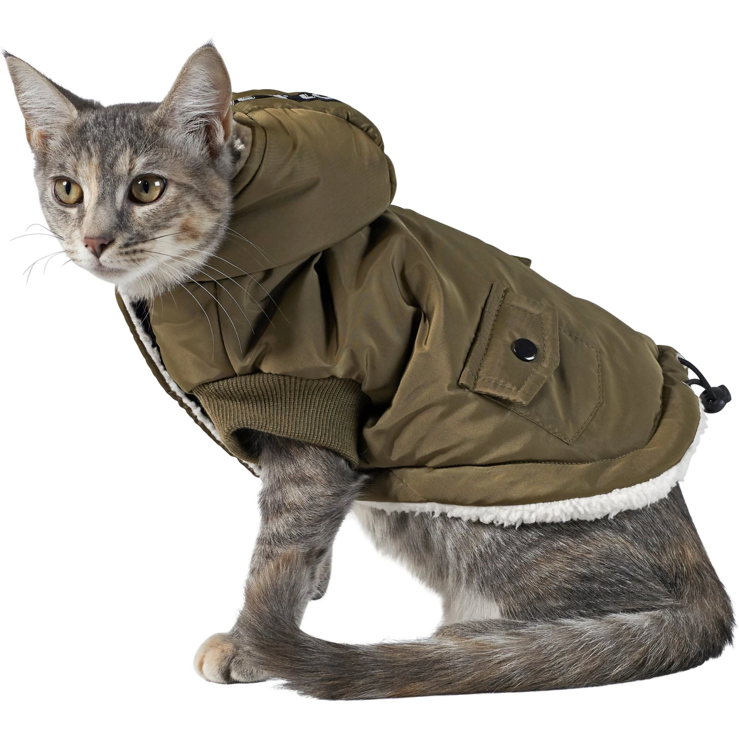 Frisco Mid-Heavyweight Love Insulated Dog & Cat Coat 3 Frisco Mid-Heavyweight Love Insulated Dog & Cat Coat - Image 3