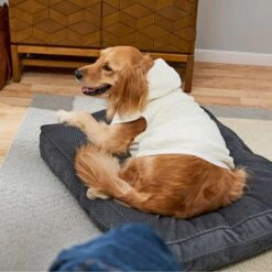 Frisco Plush Fur Dog & Cat Hoodie 15 Frisco Plush Fur Dog & Cat Hoodie -Frisco Sales Store 224209 PT7. AC SS1800 V1637685435